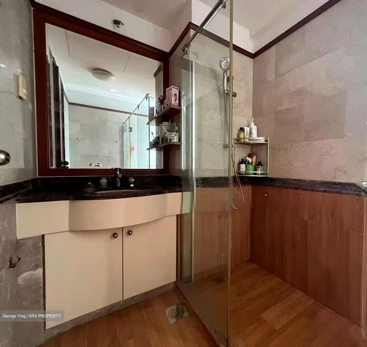 Parc Vista (D22), Condominium #530641741